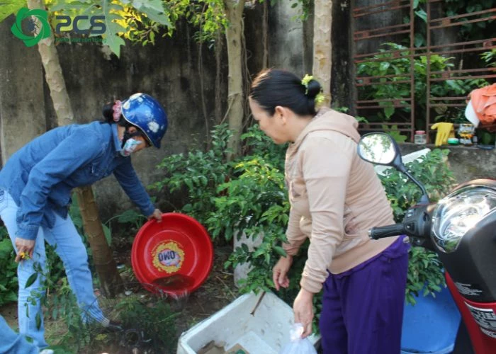 bị muỗi đốt nhiều có sao không